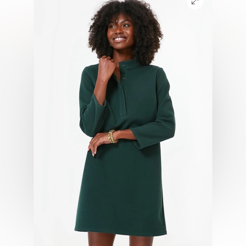 NWOT Pomander Place Tuckernuck Green Avery Dress